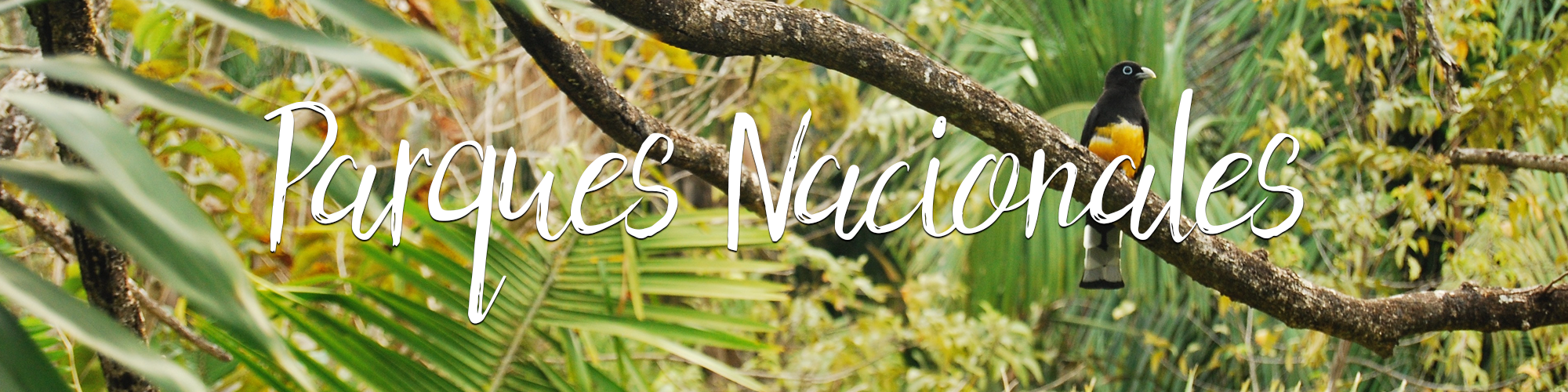 PARQUES-NACIONALES